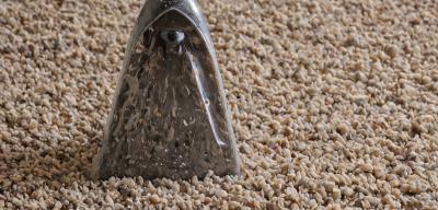 Pet odor treatment service