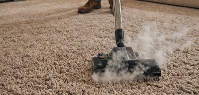 Residential carpet cleaning service