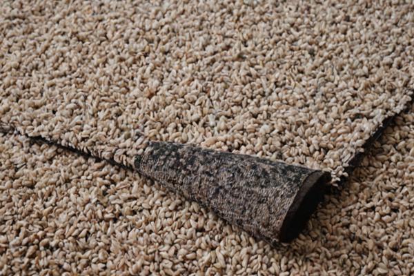 Detailed spot treatment on carpet